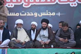 عمران خان کو اس جرم کی پاداش میں سلاخوں کے پیچھے دھکیلا گیا ہے، جسے انہوں نے کیا ہی نہیں،علامہ راجہ ناصر عباس جعفری
